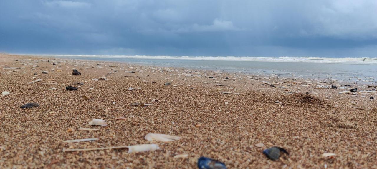 Le Zandkreek Plage & Centre - 2 Ch Koksijde Dış mekan fotoğraf