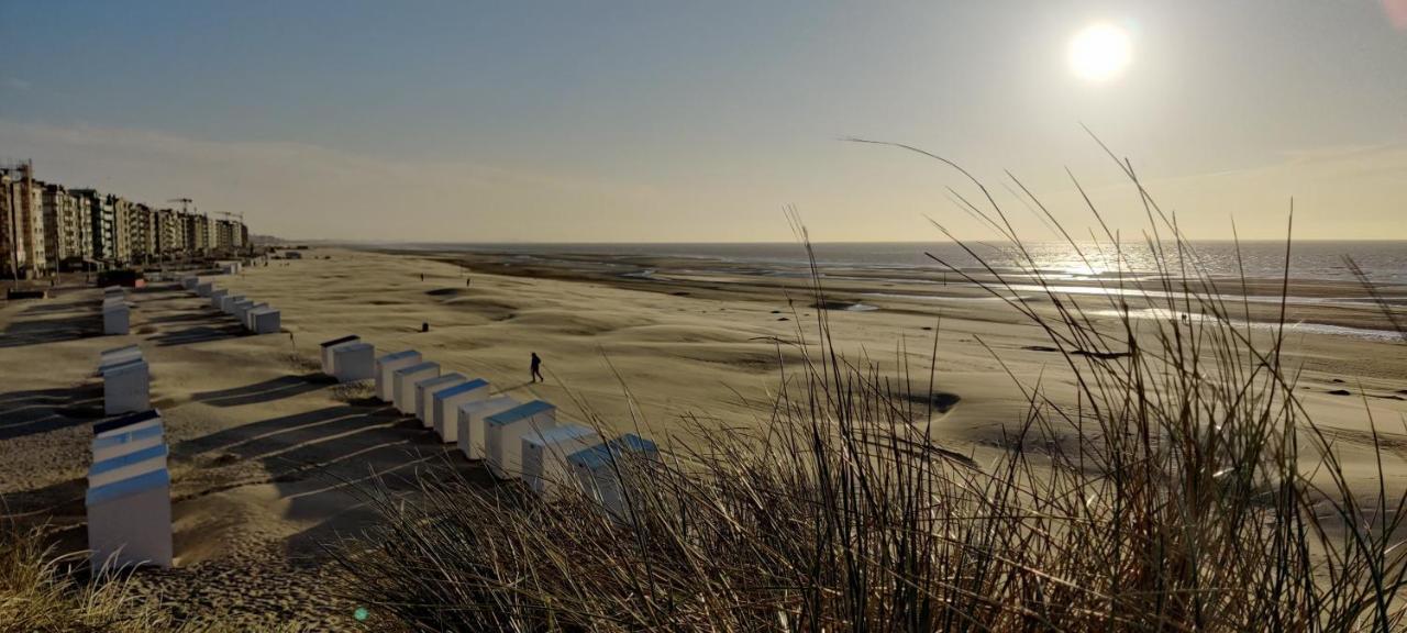 Le Zandkreek Plage & Centre - 2 Ch Koksijde Dış mekan fotoğraf